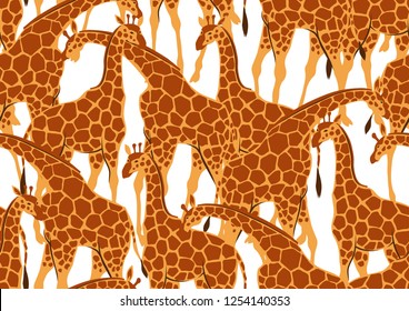 Seamless pattern with of giraffes. Wild African savanna animals on white background.
