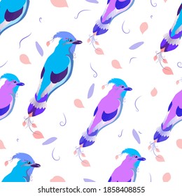 Seamless pattern for a girl. Beautiful colored birds on a white background. Feathers and curls.
