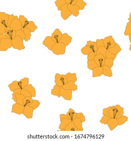 Nahtlose Muster gladiolen Blumen Vektorillustration Feder botanische Illustration