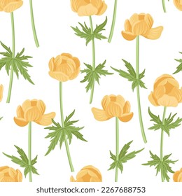 seamless pattern with globeflower, field flowers, vector drawing wild plants at white background, floral elements, hand drawn botanical illustration