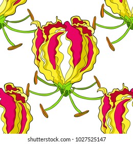 seamless pattern  Gloriosa flower Gorgeous red  vector illustration