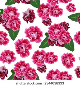 A seamless pattern of Gloxinia isolated on white background. vector illustration. flower background.
