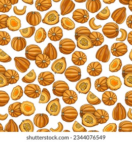 Seamless pattern with Gold acorn squash or Honey bear squash. Tuffy squash. Winter squash. Cucurbita pepo. Fruits and vegetables. Cartoon style. Isolated vector illustration.
