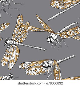 Seamless pattern with golden different dragonfly on a gray background. Vector illustration.