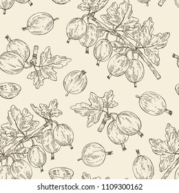 Seamless pattern with gooseberry: branch of gooseberry, berries and leaves. Vector hand drawn illustration. 