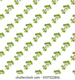 Seamless pattern with Gooseberry, or Ribes uva-crispa, branch on white background. Vector illustration.