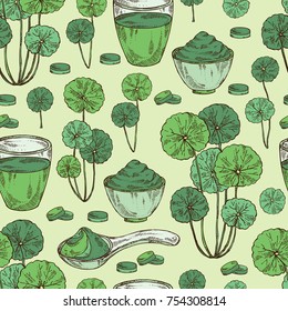 Seamless pattern with gotu kola: branch of gotu kola, powder and cocktail. Centella asian. Cosmetic and medical plant. Vector hand drawn illustration