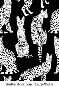 Seamless pattern. Graceful wild cats. African Serval  characters. Textile composition, hand drawn style print. Vector black and white illustration.