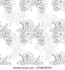 Seamless pattern with grape branch. Wineyard retro wallpaper. Garden background Sketch wild flower for background, texture, wrapper pattern, frame or border.