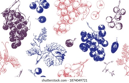 Seamless pattern with grape drawings, hand drawn illustration of fresh grape vines