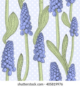 Seamless pattern with grape hyacinth, or muskari, on blue dotted background. Vector illustration.