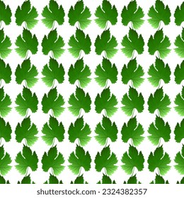 Seamless pattern grape leaves. Green leaf. Vector illustration.