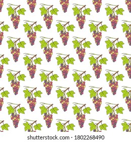Seamless pattern with Grape, Vitis vinifera, branch. Hand drawn vector illustration