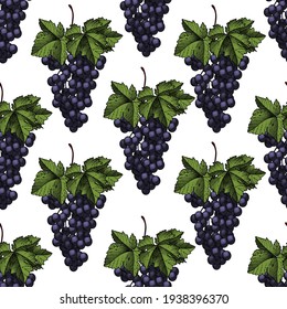 Seamless pattern of grapes. Bunch of grapes with leaves. Vintage engraving color stylized drawing. Vector illustration