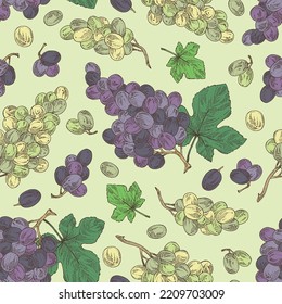 Seamless pattern with grapes: grapes, grape leaf and  grape branch. Vector hand drawn illustration.