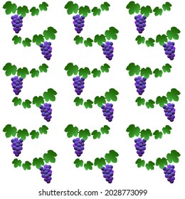 Seamless pattern of grapes and grape vines