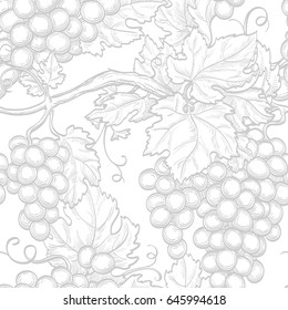 Seamless pattern with grapes. Hand drawn vector illustration.