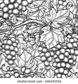 Seamless pattern with grapes. Hand drawn vector illustration.Seamless pattern with vine. Hand drawn vector illustration of grapes. Retro style.