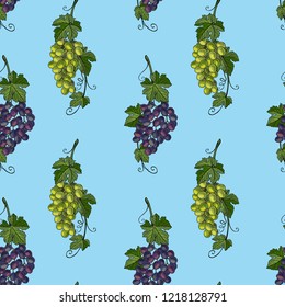 Seamless pattern of grapes and leaves. Background design for textile, wrapping paper. eps10