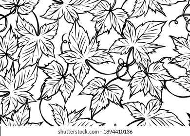 Seamless pattern of grapes leaves, monochrome, vector