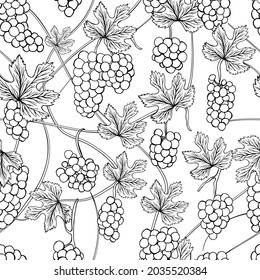 Patrón de uvas sin foco con hojas.Ilustración vectorial.