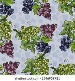 Padrão sem costura com uvas e pera. Fundo desenhado à mão estilo de esboço de cor. Ilustração detalhada, desenhada à mão. Ótimo para tecido e têxtil, estampas, convite, embalagem