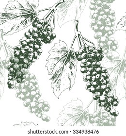 Seamless pattern with grapes. Vector. Hand drawn.