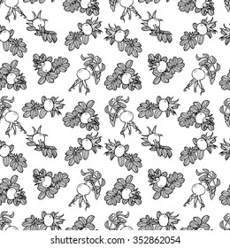 Seamless  pattern with graphic  dog-rose svg