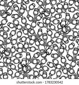 Seamless pattern of graphic dry eucalyptus buds. Vector repeated botanical design