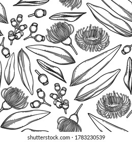 Seamless pattern of graphic eucalyptus flowers and leaves. Vector repeated botanical design