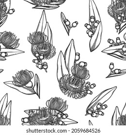 Patrón sin foco de flores y hojas de eucalipto gráficas. Diseño botánico repetido de vectores