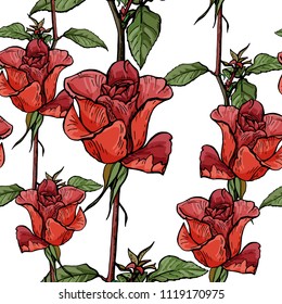 Seamless pattern of graphic roses, vector illustration.