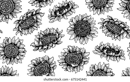 seamless pattern Graphic sunflower and sunflower seeds