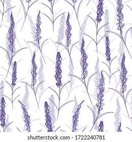 Motif harmonieux de fleurs de lavande violet. Modèle pour tissu, papier, invitations.