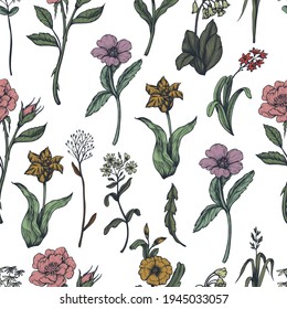 Seamless pattern with graphic wild flowers. Vector