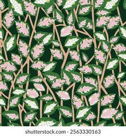 Seamless Pattern of Graptophyllum Pictum Leaves. A botanical pattern featuring pink and green Graptophyllum pictum leaves arranged on a dark green background with beige stems.