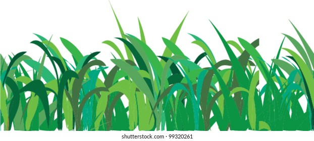 Seamless pattern of grass