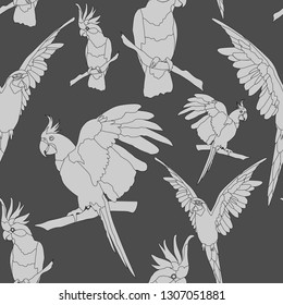 Seamless pattern in gray, black and white with parrots