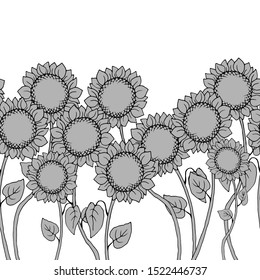 Seamless pattern in gray colors with flowers of sunflower, border