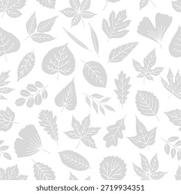 Patrón sin fisuras con hojas de silueta gris sobre fondo blanco: hoja de arce, roble, tilo, álamo, ginkgo y otros. Imprimir para textiles, paquetes y papel de embalaje. Ilustración vectorial