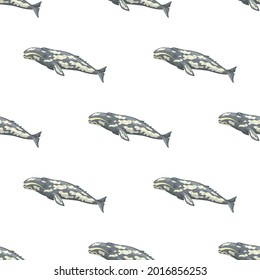 Seamless pattern with gray whale on white background. Template of cartoon character of ocean for fabric.Repeated geometric texture with marine cetacean.Design for any purposes.Vector illustration