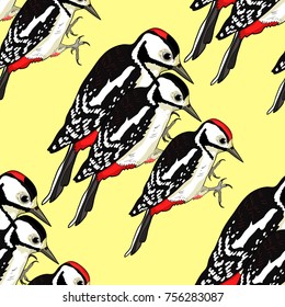 seamless pattern great spotted woodpecker family vector illustration