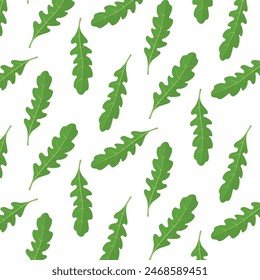Patrón inconsútil de hojas de rúcula verde sobre un fondo blanco. Ilustración vectorial, rúcula, boceto de hojas en un estilo plano simple, para impresión, papel, diseño textil.