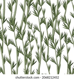 Seamless pattern with green bamboo. Interior wallpaper
