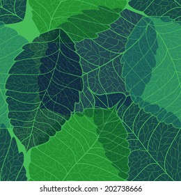 Seamless pattern of green birch leaves