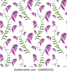 seamless pattern of green branches with flowering purple flowers mouse peas isolated on white background