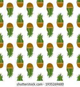 Seamless pattern with the green cactus houseplants in floral pots. Botanical background