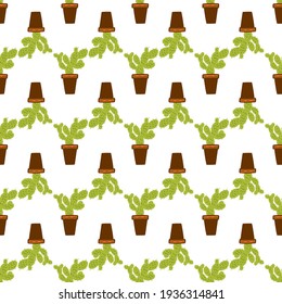 Seamless pattern with the green cactus houseplants in floral pots. Botanical background. Home decor theme. Planters with exotic plants.