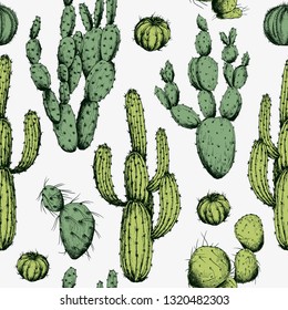 Seamless pattern with green cactus plants. Hand drawn vector on white background.