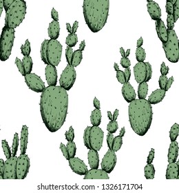 Seamless pattern with green cactus plants. Hand drawn vector on white background.